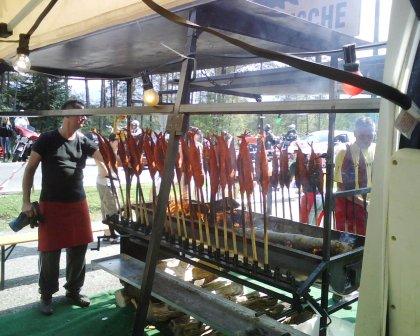 red fishes